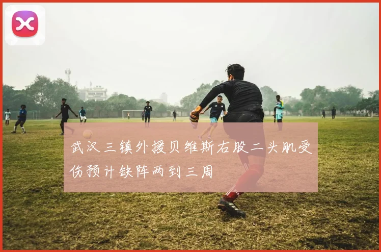 武汉三镇外援贝维斯右股二头肌受伤预计缺阵两到三周